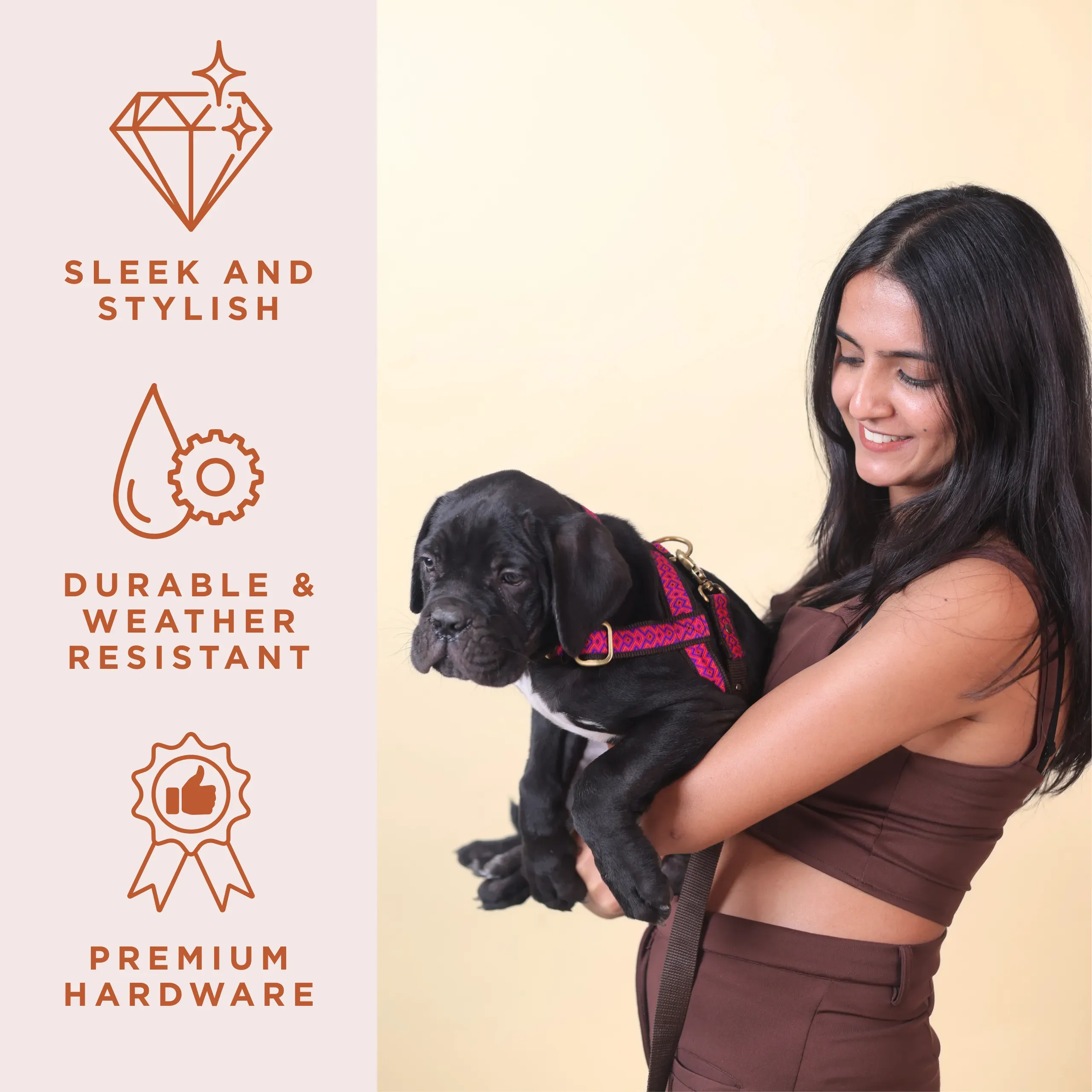 Guide to the Best Adjustable Padded Dog Harnesses